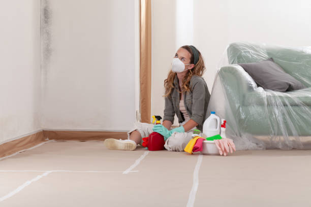 Reliable Mold Remediation contractor in Cream Ridge, NJ by Cheap Mold Removal